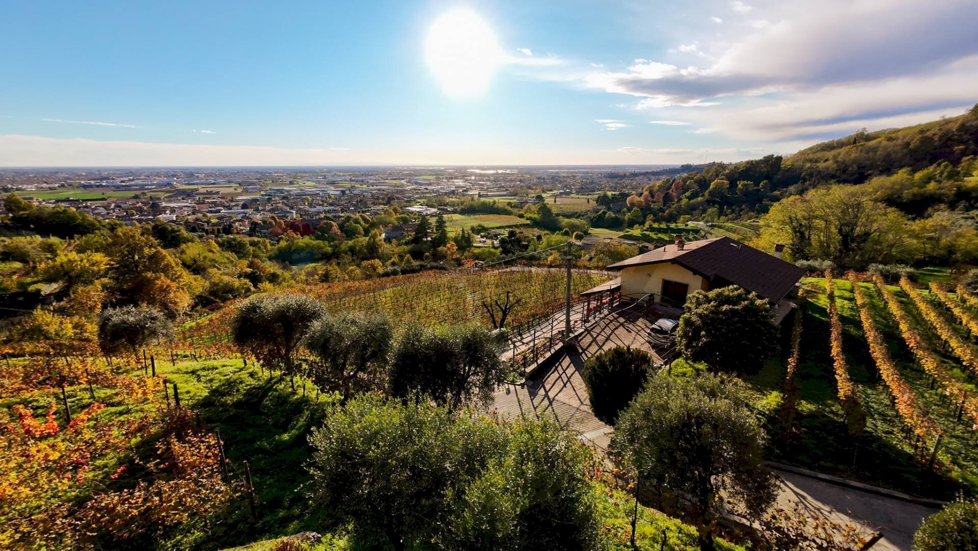 Vista delle montagne - Farm Via Madonna delle Vigne, Castelli Calepio - photo 3
