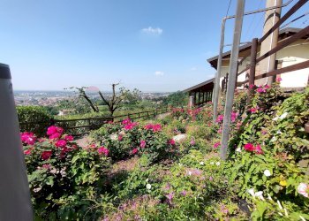 Giardino - Farm Via Madonna delle Vigne, Castelli Calepio - photo 2