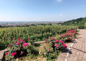 Giardino - Farm Via Madonna delle Vigne, Castelli Calepio - photo 4