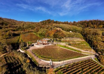 Vista delle montagne - Farm Via Madonna delle Vigne, Castelli Calepio - photo 8