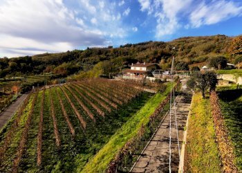 Vista delle montagne - Farm Via Madonna delle Vigne, Castelli Calepio - photo 10