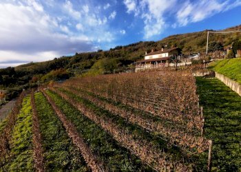 Vista delle montagne - Farm Via Madonna delle Vigne, Castelli Calepio - photo 11