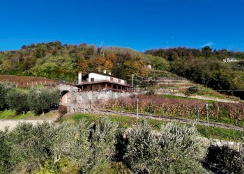 Vista delle montagne - Farm Via Madonna delle Vigne, Castelli Calepio - photo 12