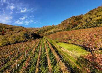 Vista delle montagne - Farm Via Madonna delle Vigne, Castelli Calepio - photo 15