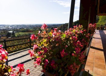 Giardino - Farm Via Madonna delle Vigne, Castelli Calepio - photo 18