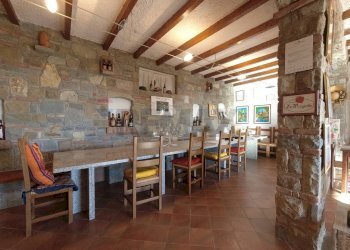 Sala da pranzo - Farm Via Madonna delle Vigne, Castelli Calepio - photo 26