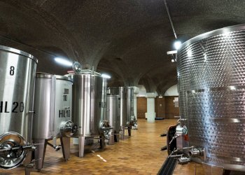 Palestra - Farm Via Madonna delle Vigne, Castelli Calepio - photo 38