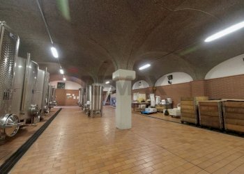 Palestra - Farm Via Madonna delle Vigne, Castelli Calepio - photo 39