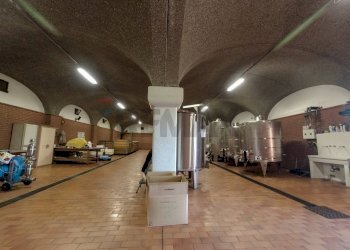 Palestra - Farm Via Madonna delle Vigne, Castelli Calepio - photo 42