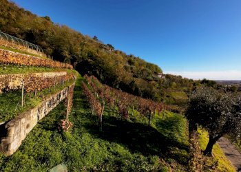 Vista delle montagne - Farm Via Madonna delle Vigne, Castelli Calepio - photo 46