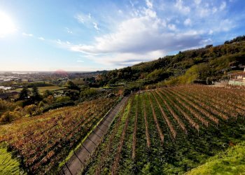 Vista delle montagne - Farm Via Madonna delle Vigne, Castelli Calepio - photo 47