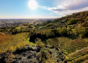 Vista delle montagne - Farm Via Madonna delle Vigne, Castelli Calepio - photo 48