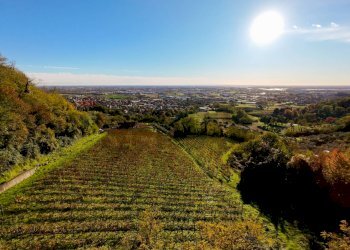 Vista delle montagne - Farm Via Madonna delle Vigne, Castelli Calepio - photo 49
