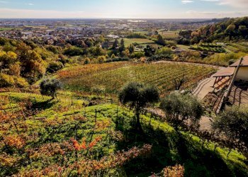 Vista delle montagne - Farm Via Madonna delle Vigne, Castelli Calepio - photo 51