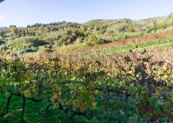 Vista delle montagne - Farm Via Madonna delle Vigne, Castelli Calepio - photo 57