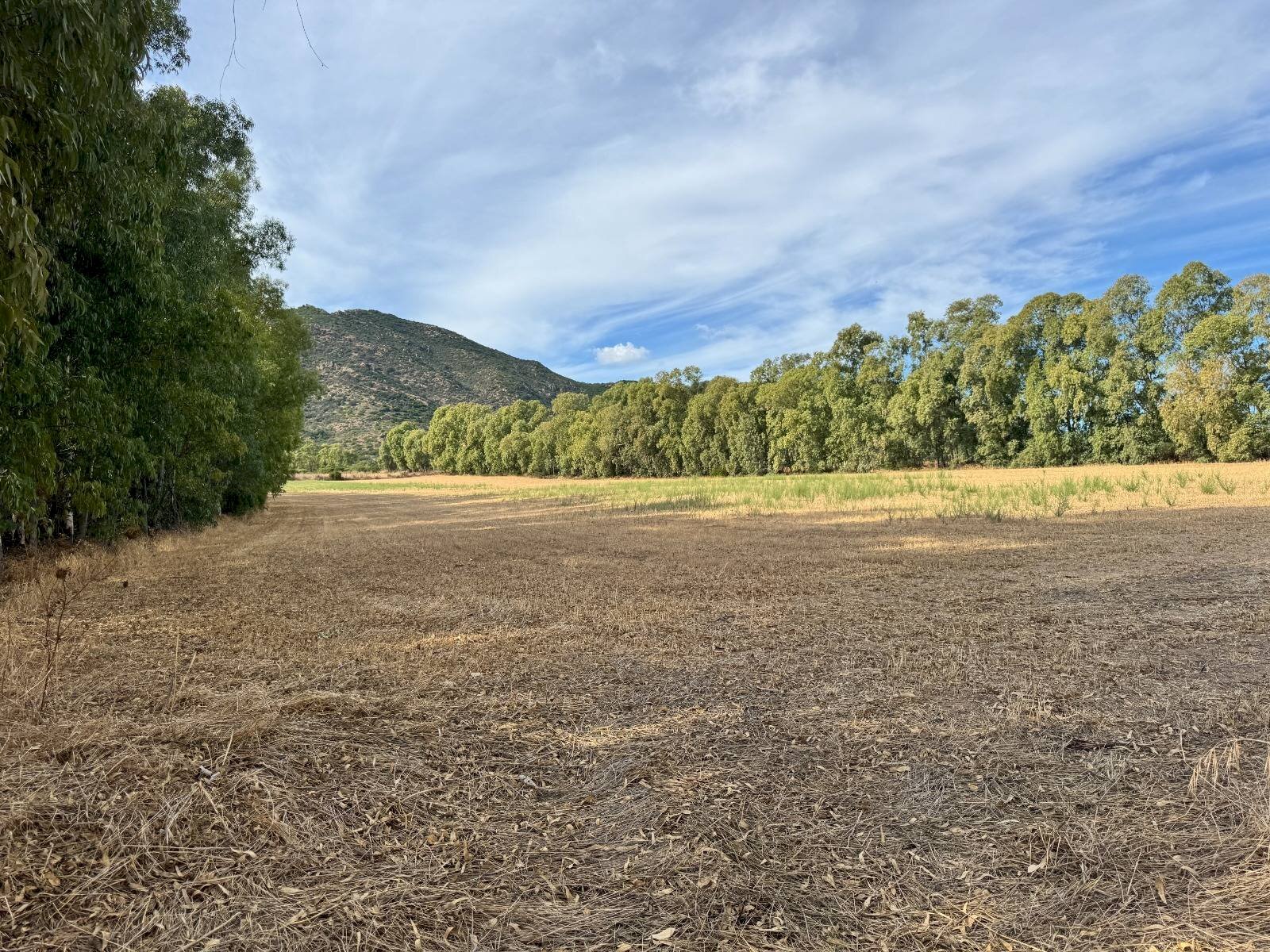 Foto 1 - Terreno agricolo Strada dell'Erica, San Vito - foto 1