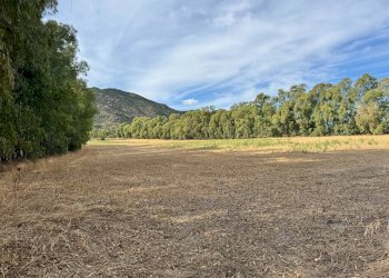 Foto 1 - Terreno agricolo Strada dell'Erica, San Vito - foto 1