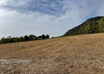 Foto 2 - Terreno agricolo Strada dell'Erica, San Vito - foto 2