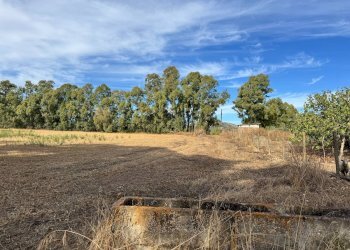 Foto 3 - Terreno agricolo Strada dell'Erica, San Vito - foto 3