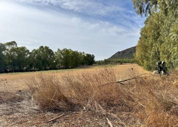 Foto 5 - Terreno agricolo Strada dell'Erica, San Vito - foto 5