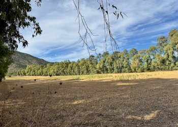Foto 8 - Terreno agricolo Strada dell'Erica, San Vito - foto 8