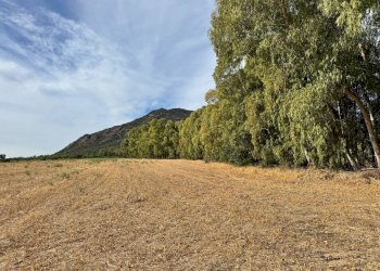 Foto 10 - Terreno agricolo Strada dell'Erica, San Vito - foto 10