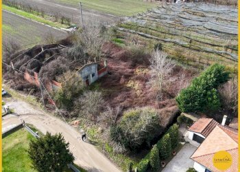 Foto 13 - Terreno edificabile Via Fiume Vecchio
 
152, Molinella - foto 13