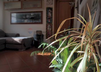 Soggiorno - Apartment via Tarrini
53, Livorno - photo 13