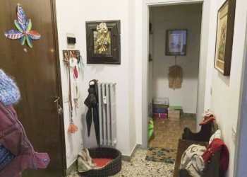 Ingresso - Monolocale via Monte Grappa, 2, Parabiago - foto 10