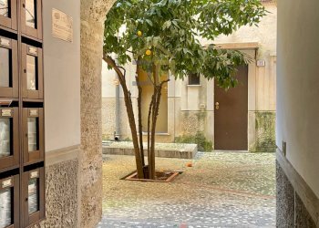 Foto 26 - Bilocale Cortile Del Musico
 
6, Palermo - foto 26