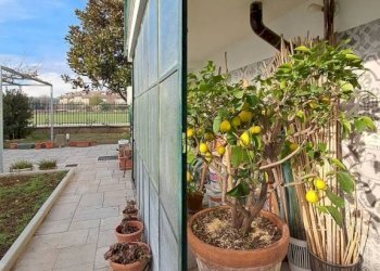 Giardino - Villa Nichelino - photo 5