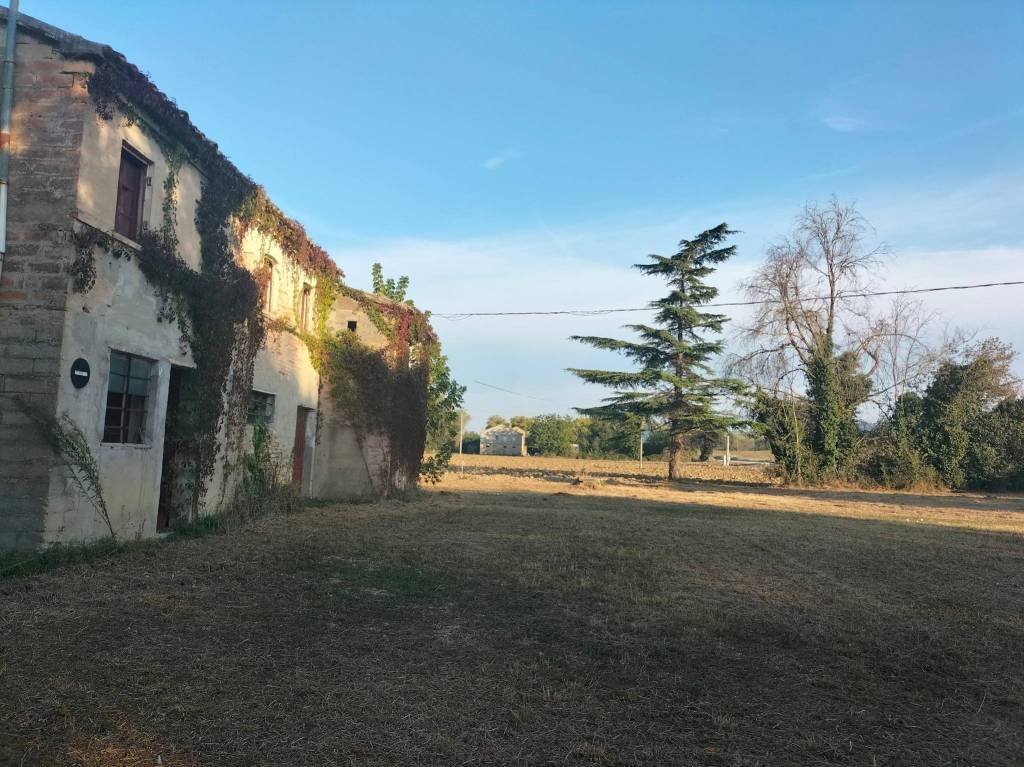 Terreno - Rustic contrada Ricciola, 87, Recanati - photo 3
