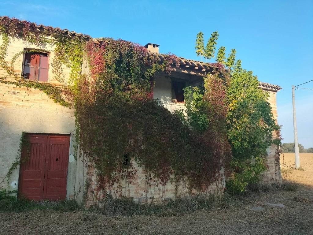 Facciata - Rustico contrada Ricciola, 87, Recanati - foto 3