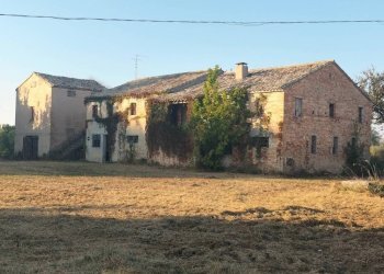 Terreno - Rustico contrada Ricciola, 87, Recanati - foto 5