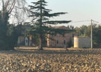 Terreno - Rustico contrada Ricciola, 87, Recanati - foto 10