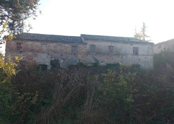 Terreno - Rustico contrada Ricciola, 87, Recanati - foto 11