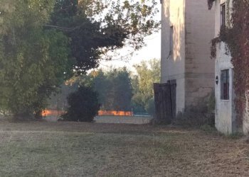 Terreno - Rustico contrada Ricciola, 87, Recanati - foto 12