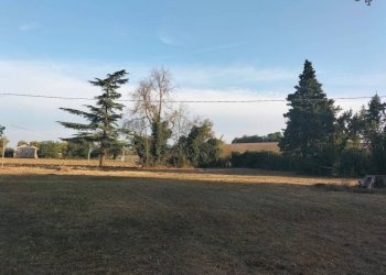 Terreno - Rustico contrada Ricciola, 87, Recanati - foto 13