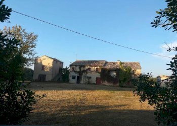 Terreno - Rustico contrada Ricciola, 87, Recanati - foto 14