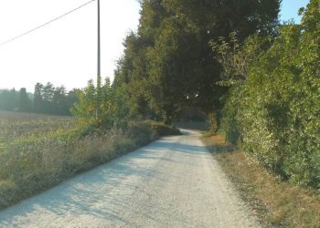 Terreno - Rustico contrada Ricciola, 87, Recanati - foto 17