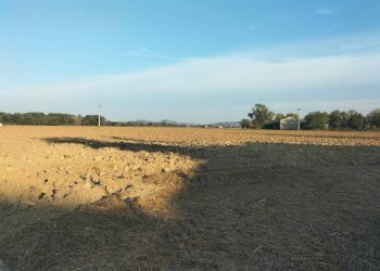 Terreno - Rustico contrada Ricciola, 87, Recanati - foto 19