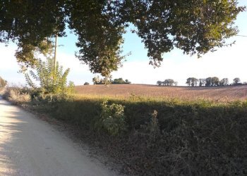 Terreno - Rustico contrada Ricciola, 87, Recanati - foto 20