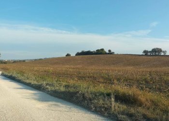 Terreno - Rustico contrada Ricciola, 87, Recanati - foto 21