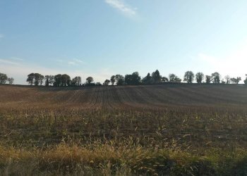 Terreno - Rustico contrada Ricciola, 87, Recanati - foto 22