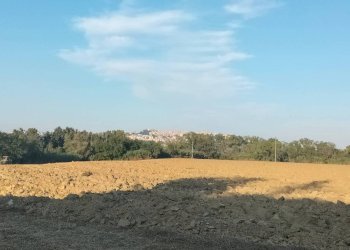 Vista - Rustico contrada Ricciola, 87, Recanati - foto 23