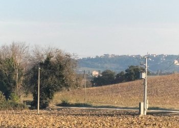Terreno - Rustico contrada Ricciola, 87, Recanati - foto 24