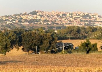 Terreno - Rustico contrada Ricciola, 87, Recanati - foto 25