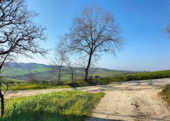 Terreno - Rustico via Serra, 20, San Marcello - foto 11
