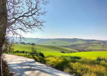Terreno - Rustico via Serra, 20, San Marcello - foto 12