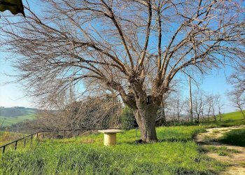 Terreno - Rustico via Serra, 20, San Marcello - foto 13